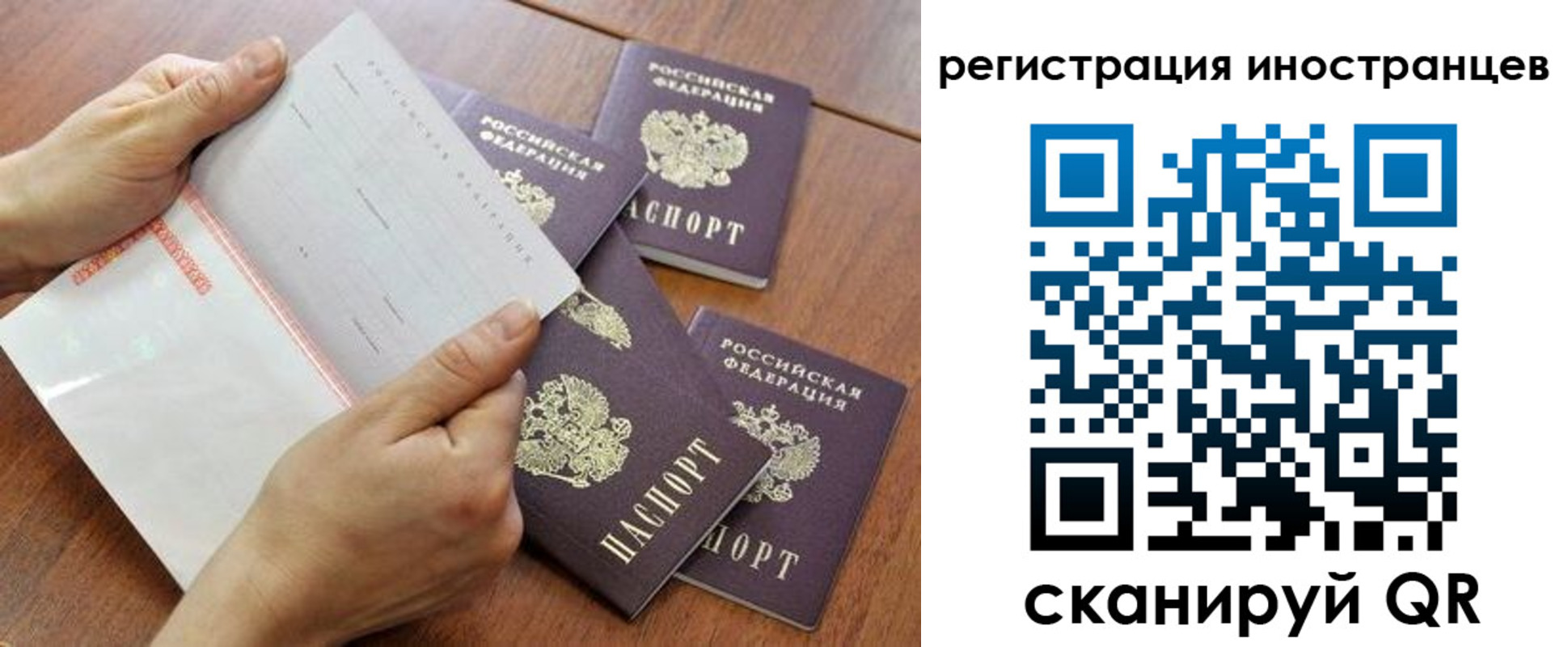 прописка поиск в Волгоградской области